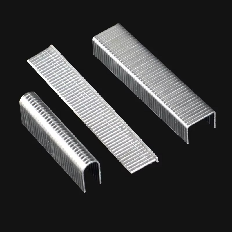 1000PC U/T/Door Shaped Staples - Nail Gun Brad ulasan dan harga